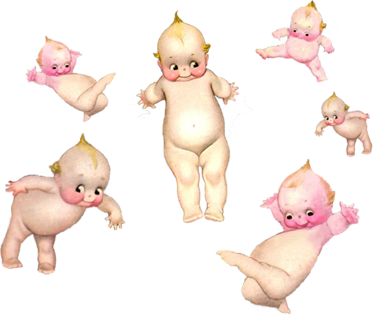 ip image