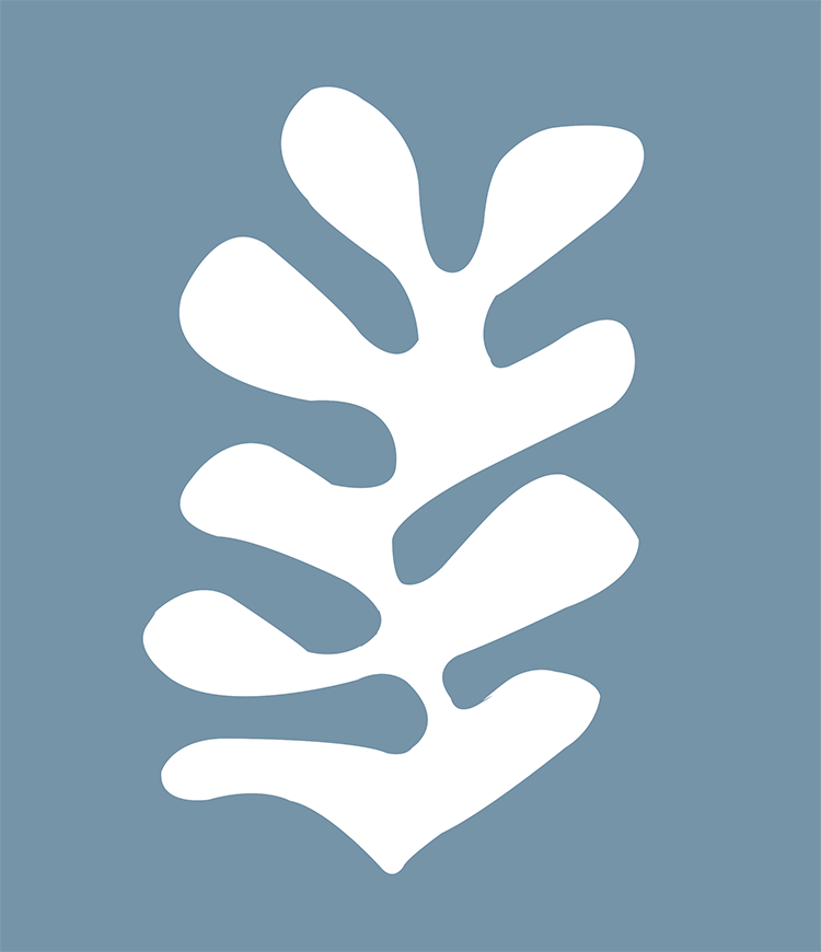 ip image