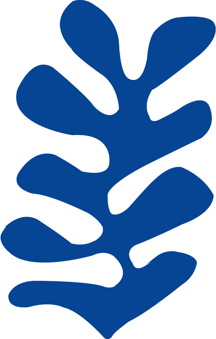 ip image