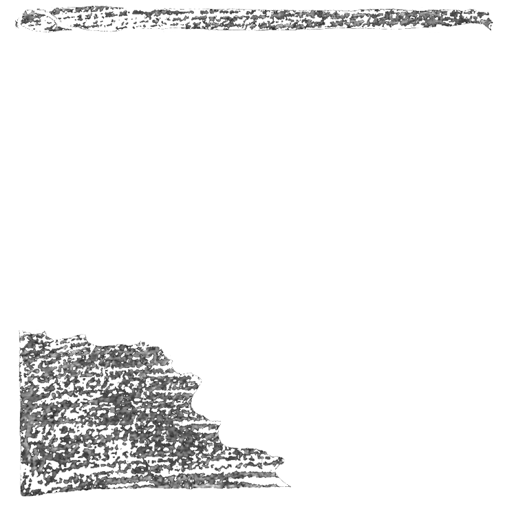 ip image