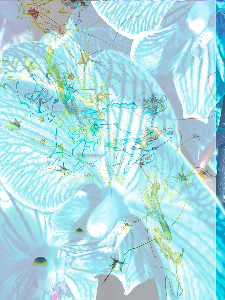 avatar_image