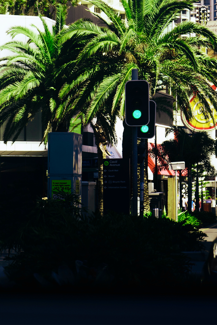 ip image