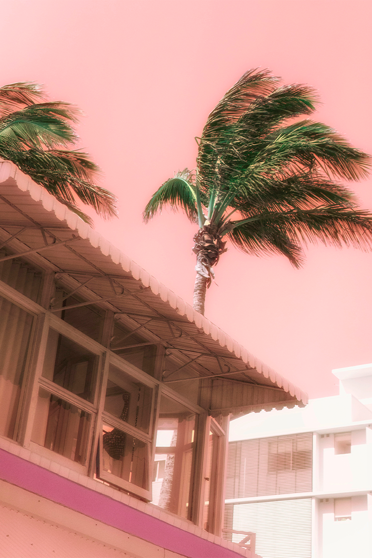 ip image