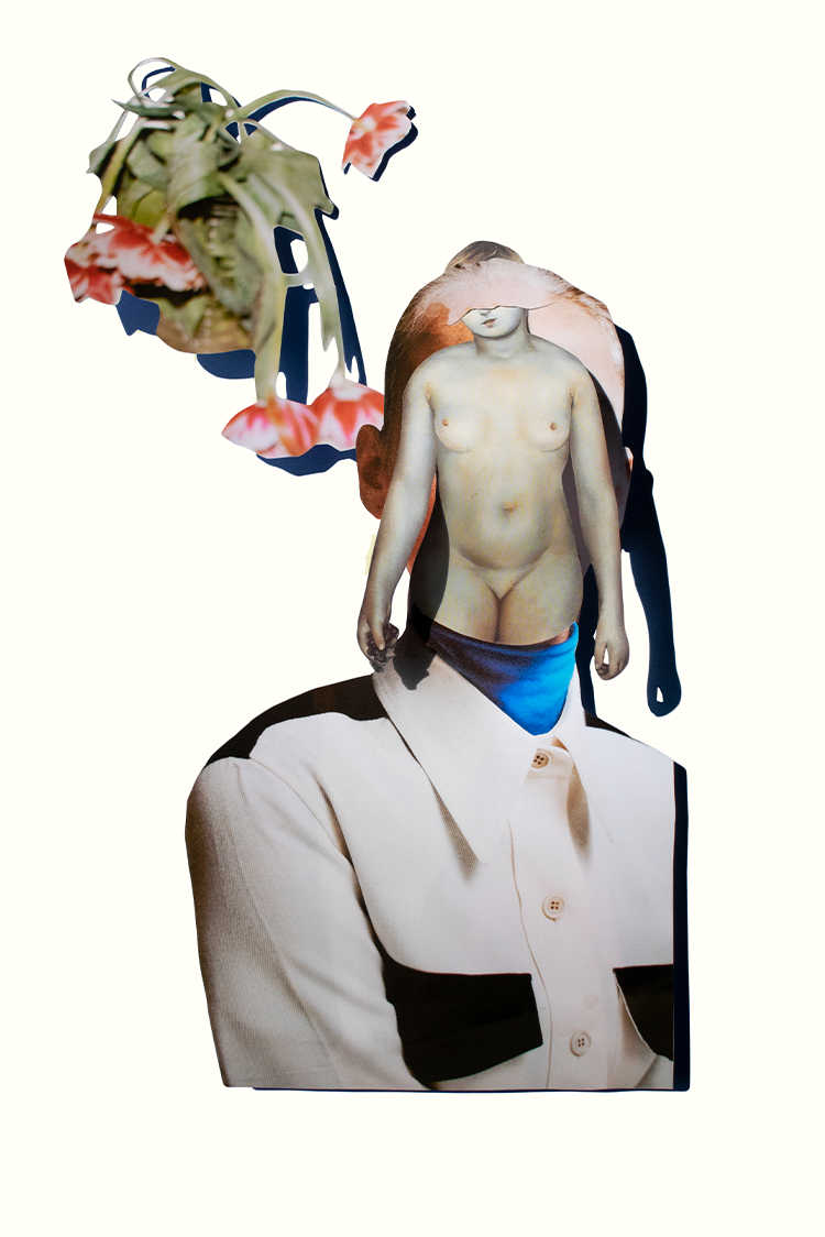 ip image