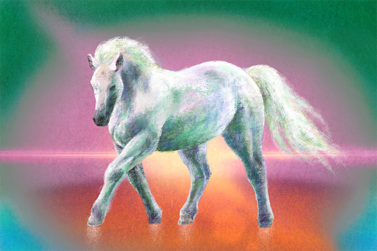 ip image