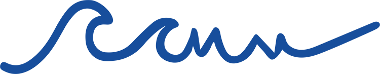 ip image