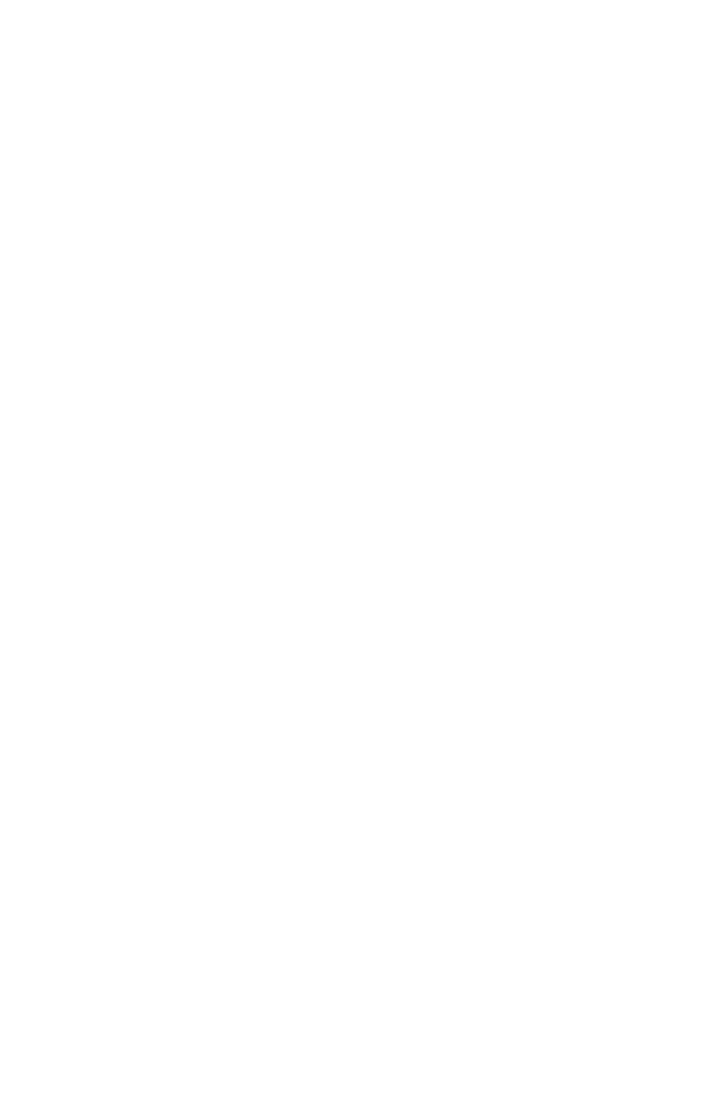 ip image