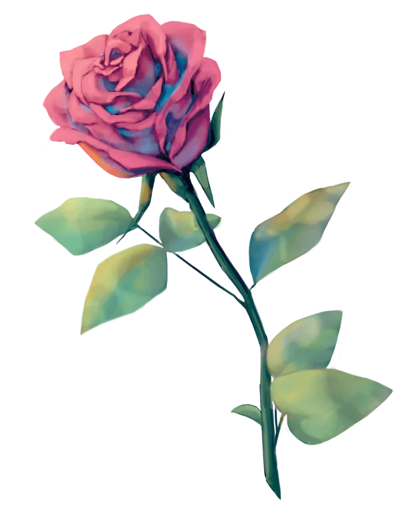ip image