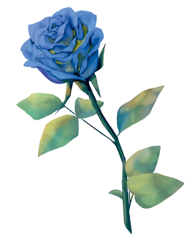 ip image